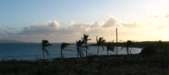 caribbean golf