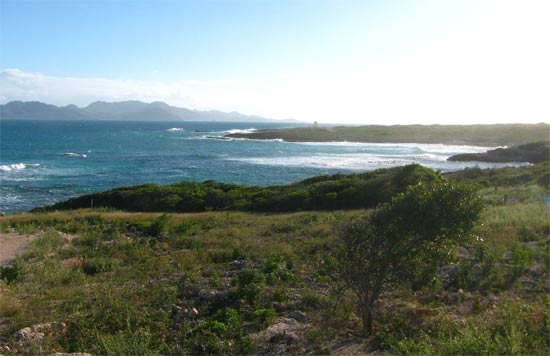 caribbean golf