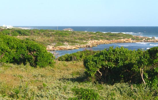 caribbean golf