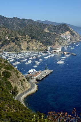 Catalina