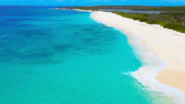 scrub beach aerial