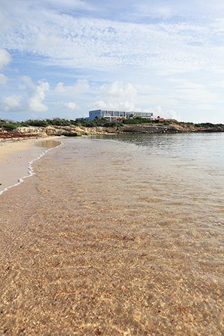 Champagne Shores from the Beach