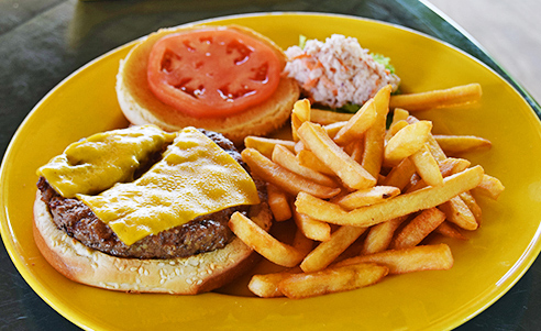 Cheese burger and fries at Elodias