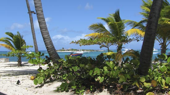 Anguilla dining