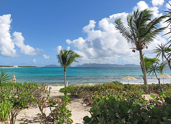 view from covecastles during lunch