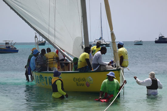 the crew climbing on board de tree