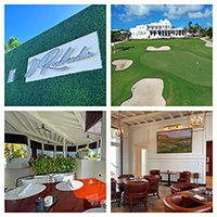 aurora anguilla