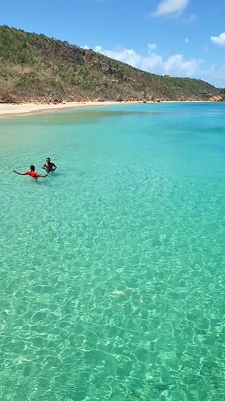 davida clear water of crocus bay