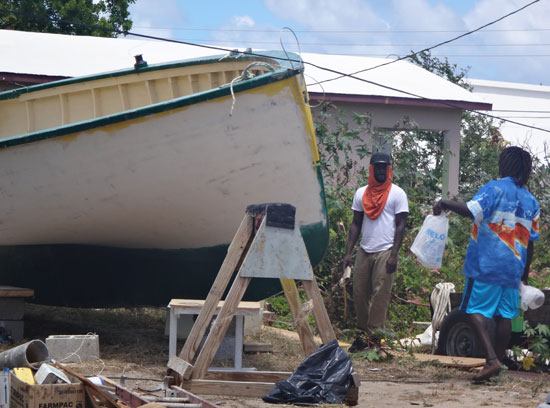 de tree sailing boat in ian cartys yard