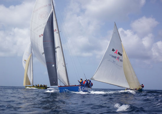 top 3 sailing boats de tree, sonic and real deal