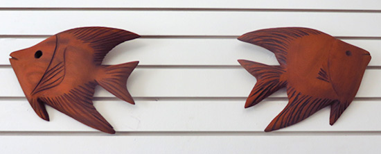 devonish angel fish out of mahogany
