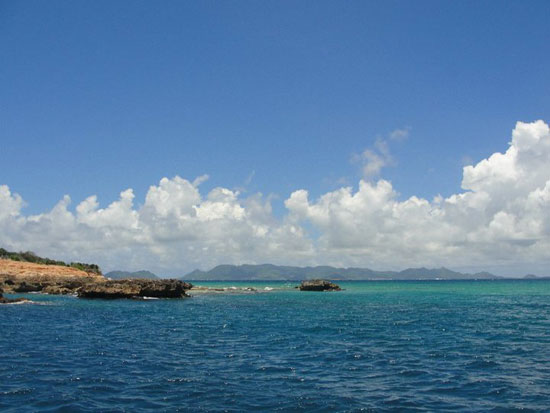 Anguilla diving, Frenchman's Reef, St. Martin