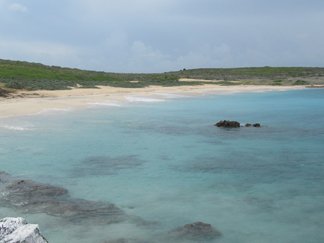 savannah bay and grass lands on dog island