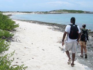 prickly pear beach in anguilla