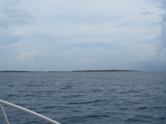 anguillan waters with prickley pear in the distance