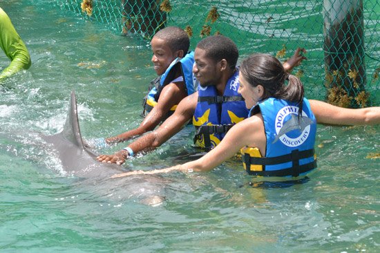 anguilla dolphin