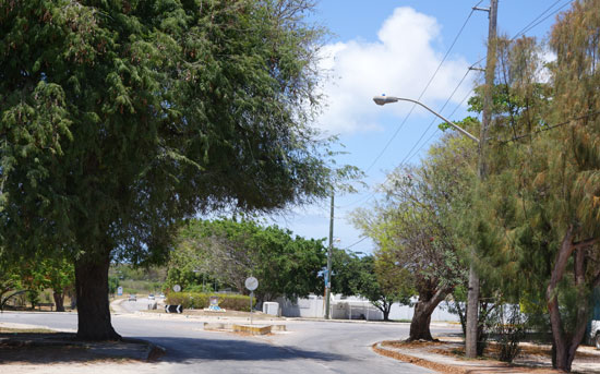 driving in Anguilla, roundabout