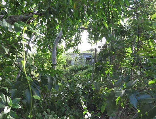 the well's pumphouse in east end