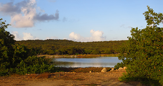 approaching the east end pond