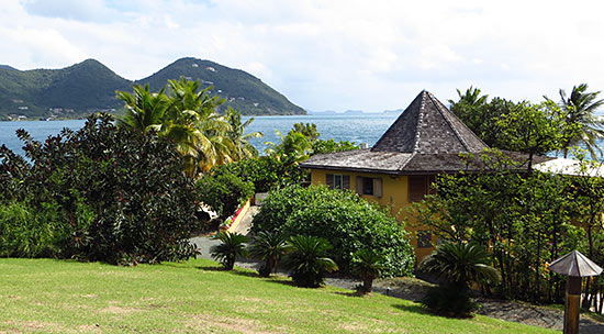 the view from frenchmans