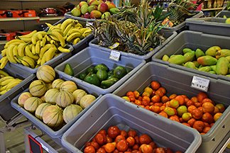 fresh fruits and vegetables at proctors grocery store