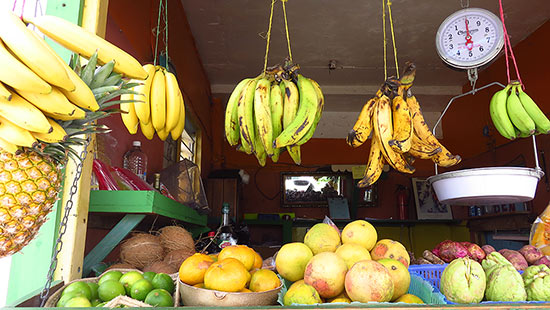 fruity web produce