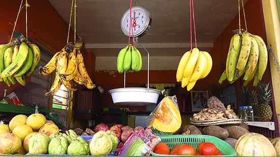 produce brought in regularly at fruity web