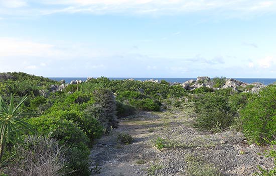 heading out to aberdam on anguilla's east end