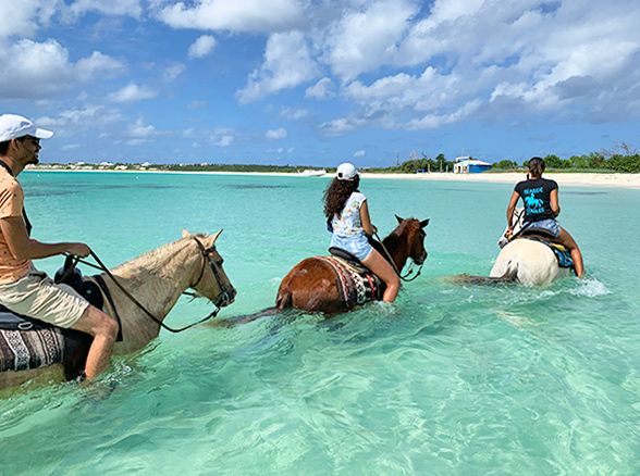 anguilla horseback riding