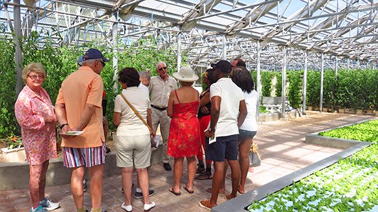 hydroponic tour at cuisinart golf resort and spa