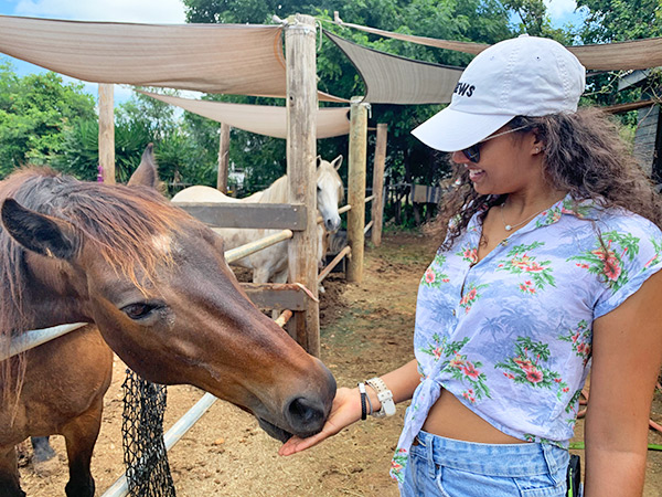 anguilla horseback riding