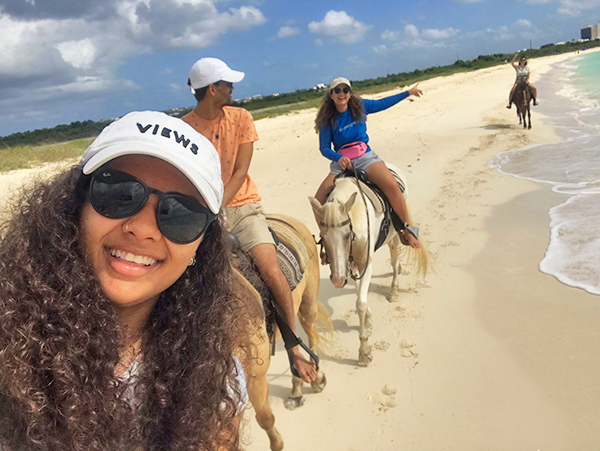 anguilla seaside stables