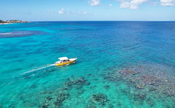 Junior's Glassbottom Boat Tours