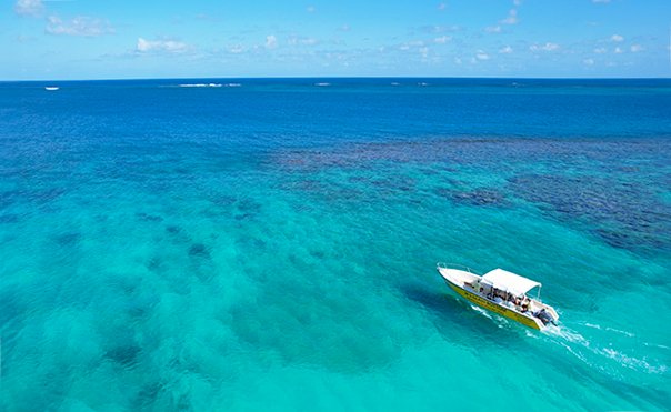 Junior's Glassbottom Boat Tours