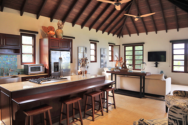 kitchen area inside nevaeh villa guest pavillion