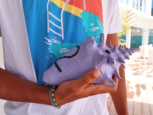 Conch Shell Number