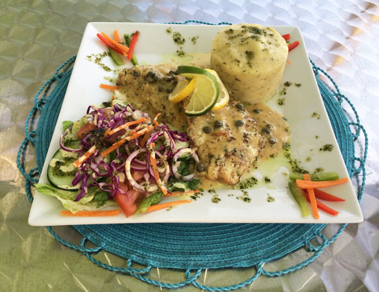 lionfish at dads in anguilla