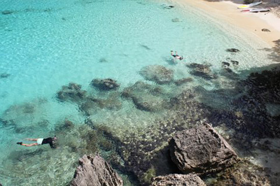 snorkeling in little bay