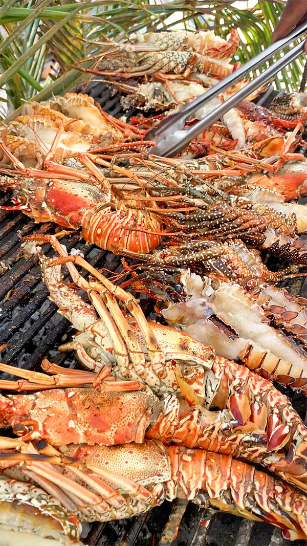 Festival del Mar anguilla lobsters