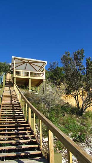 upward view of trail