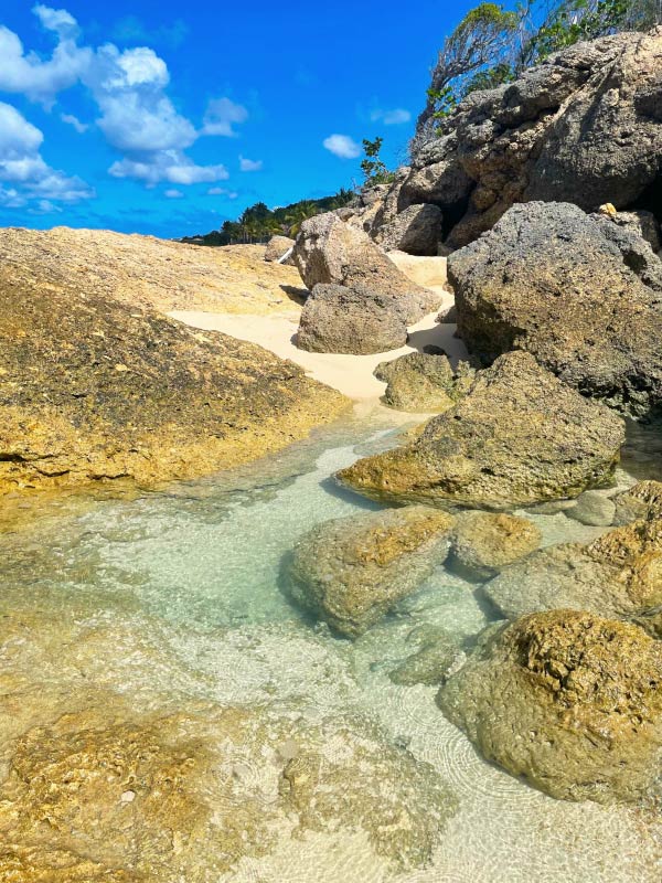 rocky tide pools  