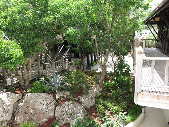 tropical gardens at zemi thai house spa