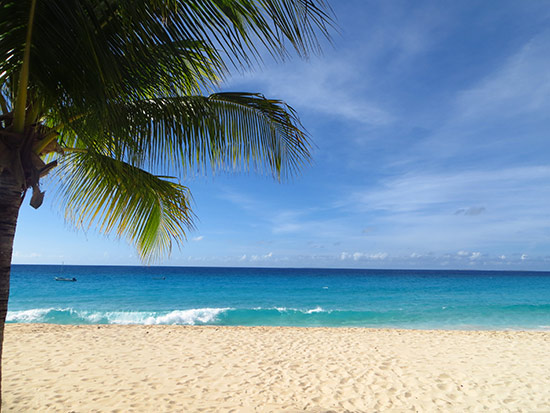 anguilla beach meads bay