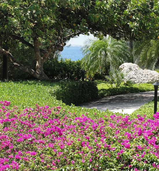 Anguilla accommodation, Meads Bay Beach Villas, Anguilla villa