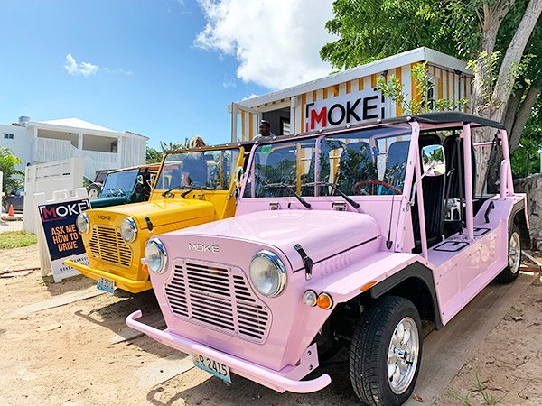 Moke Anguilla Car Rentals- Pink Flamingo, Mango and Gineup mokes