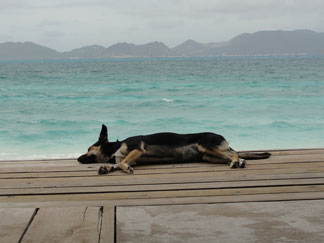 Moonsplash, Anguilla, Dune Preserve, Anguilla music, Bankie Banx