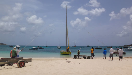 setting up the mast on racing boat de tree