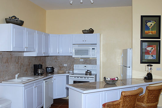 kitchen at ocean terrace condos