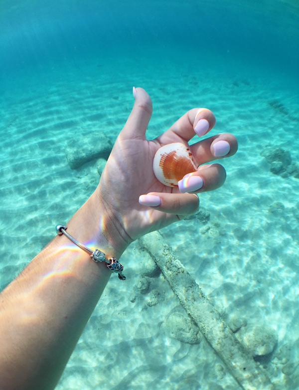  Anguilla offseason snorkeling calm shells 