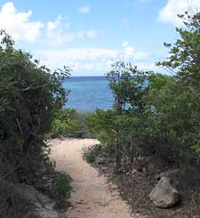 anguilla villas